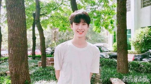 吃瓜娱乐姐陈宥维,吃瓜娱乐姐的蜕变之路